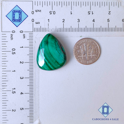 Natural Malachite Pear Cabochons