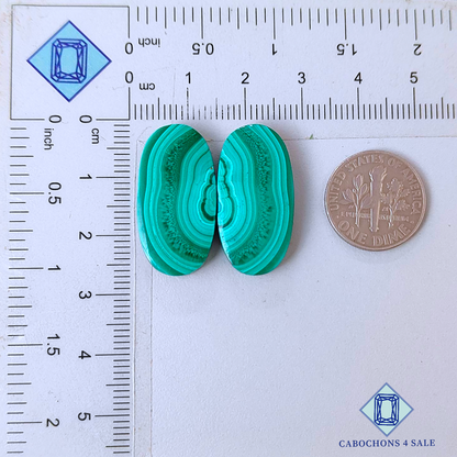 Malachite Oval Pairs