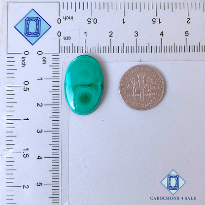 Malachite Oval Cabochons 23*15*4mm