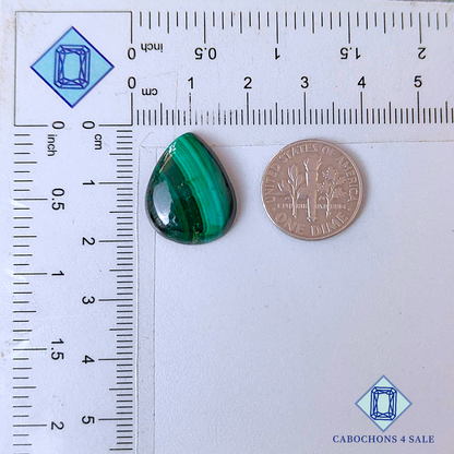 Malachite Pear Cabochons 19*15*4mm