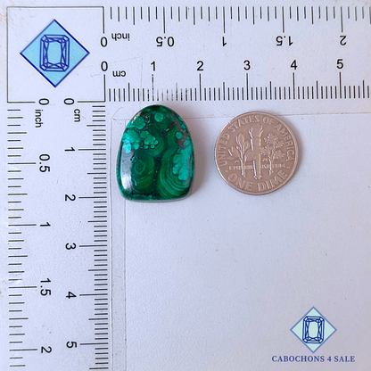 Malachite Fancy Cabochons 20*16*5mm