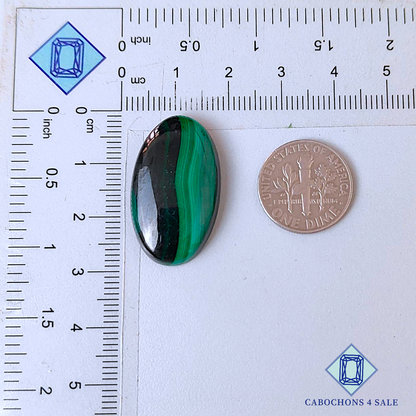 Cabujones ovalados de malaquita de 28 x 16 x 5 mm