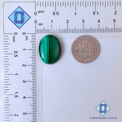 Malachite Oval Cabochons 18*14*5mm