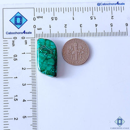 0-Malachite-C4sw23007-2-Fancy-Green-mm-Cabochons-Opaque-0
