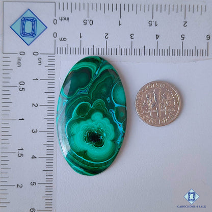 Malachite Chrysocolla