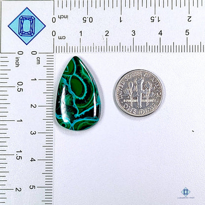 Malachite Chrysocolla Pear Cabochons