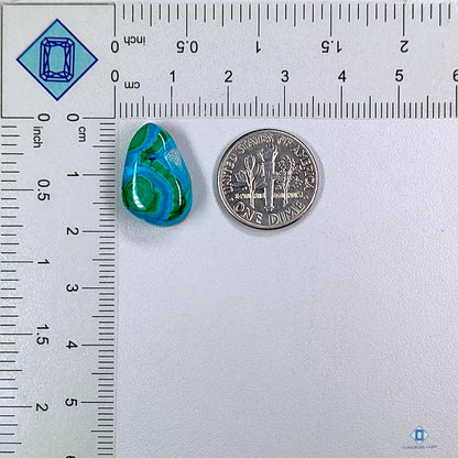 Malachite Chrysocolla Fancy Cabochons