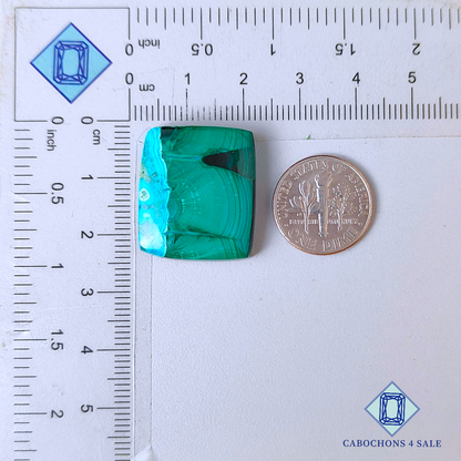 Natural Malachite Chrysocolla Rectangle Cabochons
