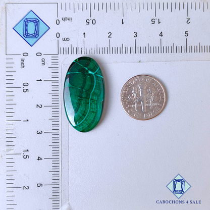 Natural Malachite Chrysocolla Oval Cabochons