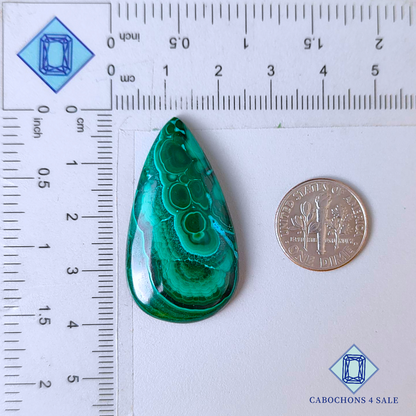 Natural Malachite Chrysocolla Pear Cabochons
