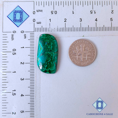 Cabujones de malaquita y crisocola de fantasía de 25 x 13 x 4 mm