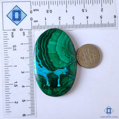Malachite Chrysocolla