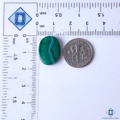 Malachite Chrysocolla