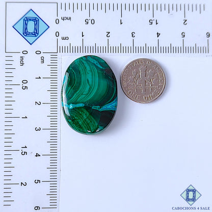 Malachite Chrysocolla