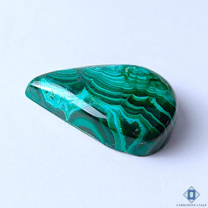 0-Malachite_Chrysocolla-C4sw23009-3-Pear-Green-mm-Cabochons-Opaque-0