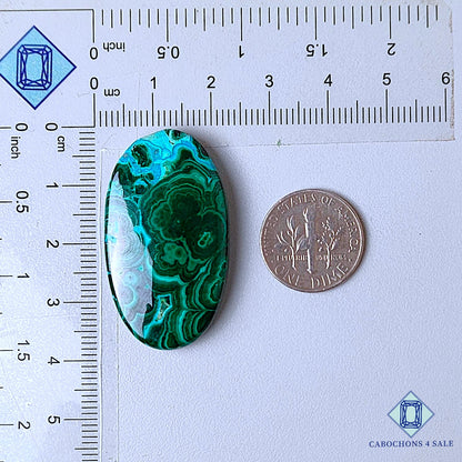 Natural Malachite Chrysocolla Gemstone  Oval Cabochons 37*21*6mm from Democratic Republic available for sale