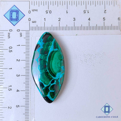 Natural Malachite Chrysolcolla Gemstone  Marquise Cabochons 46*22*6mm from Democratic Republic of the Congo available for sale