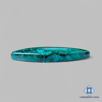 Natural Malachite Chrysolcolla Gemstone  Marquise Cabochons 46*22*6mm from Democratic Republic of the Congo available for sale
