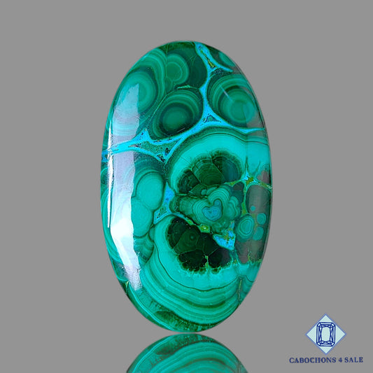 Malachite Chrysolcolla