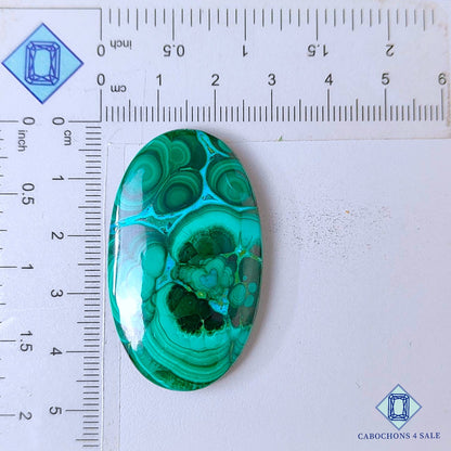 Cabujones ovalados de malaquita crisolcola natural de 45 x 26 x 5 mm, procedentes de la República Democrática del Congo, disponibles para la venta.