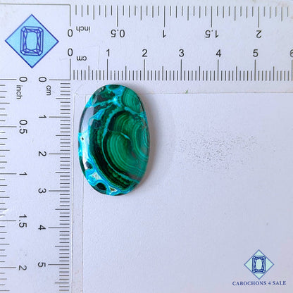 Cabujones ovalados de malaquita crisolcola natural de 30 x 19 x 5 mm, procedentes de la República Democrática del Congo, disponibles para la venta.