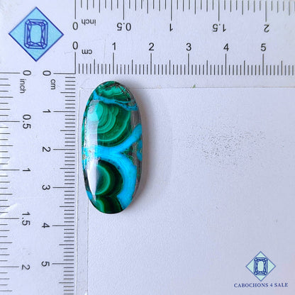 Natural Malachite Chrysolcolla Gemstone  Oval Cabochons 34*16*5mm from Democratic Republic of the Congo available for sale