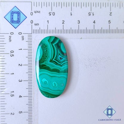 Natural Malachite Chrysolcolla Gemstone  Oval Cabochons 39*20*5mm from Democratic Republic of the Congo available for sale