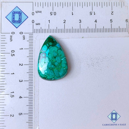 Natural Malachite Chrysolcolla Gemstone  Pear Cabochons 28*19*6mm from Democratic Republic of the Congo available for sale