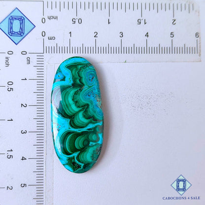 Natural Malachite Chrysolcolla Gemstone  Oval Cabochons 44*20*5mm from Democratic Republic of the Congo available for sale