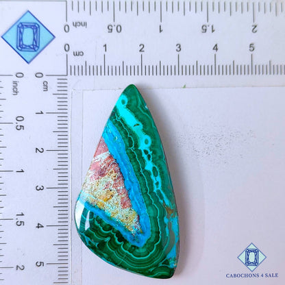 Cabujones de malaquita natural crisolcola de 52 x 27 x 5 mm, disponibles para la venta en la República Democrática del Congo.