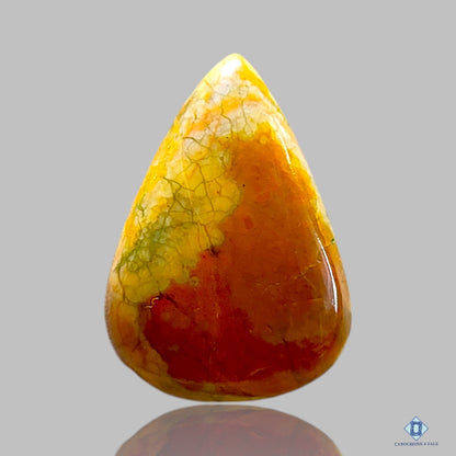 Maligana Jasper