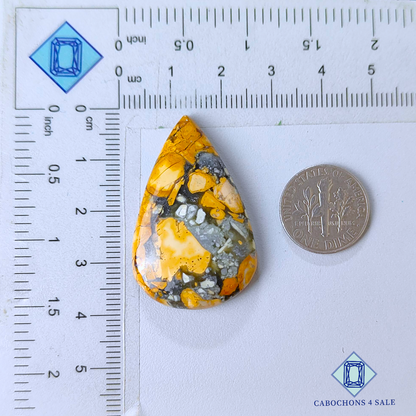 Maligano Jasper Pear Cabochons