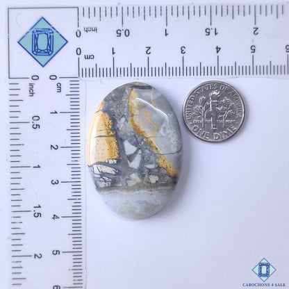 Maligano Jasper