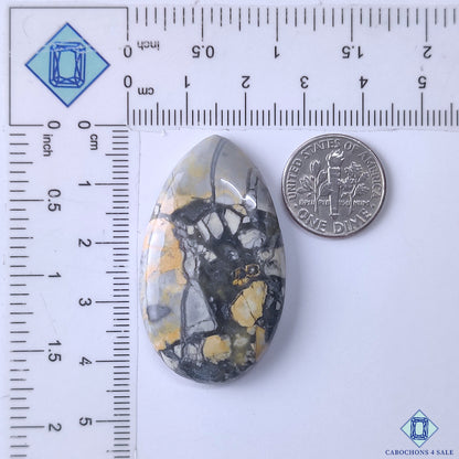 Maligano Jasper