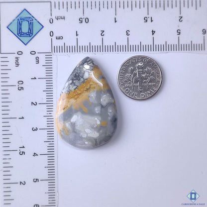 Maligano Jasper
