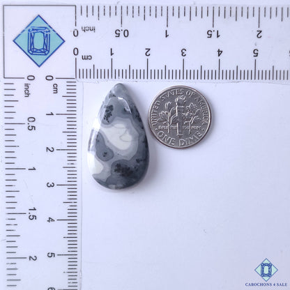 Maligano Jasper