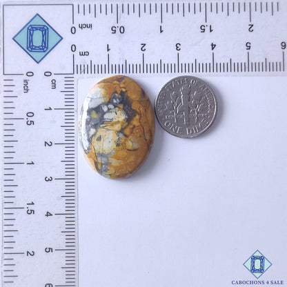 Maligano Jasper