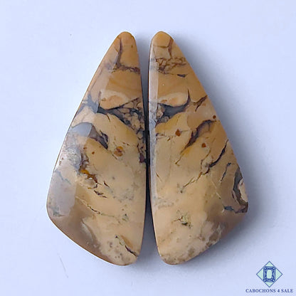 Maligano Jasper