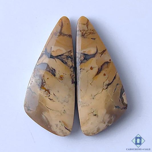 Maligano Jasper