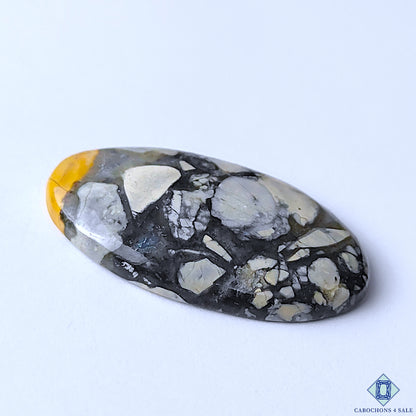 Maligano Jasper