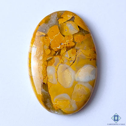 Maligano Jasper