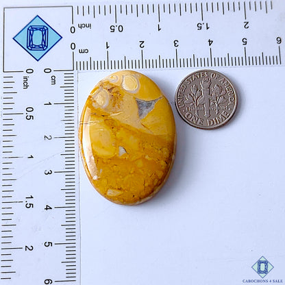 Maligano Jasper