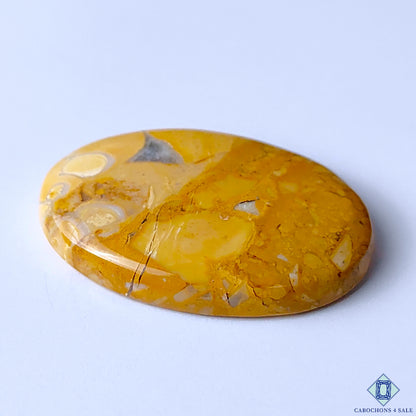 Maligano Jasper