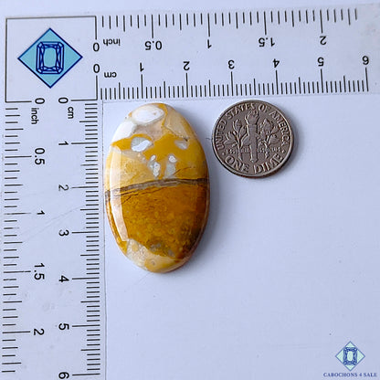Maligano Jasper