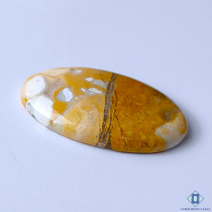Maligano Jasper