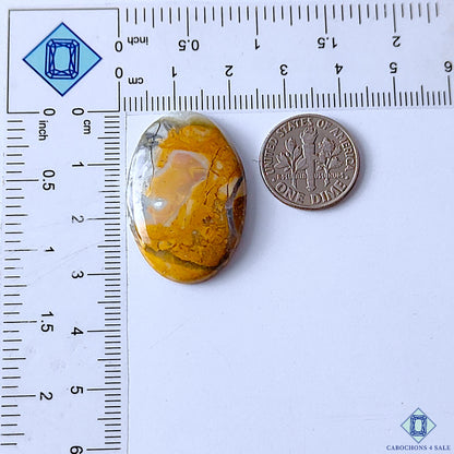 Maligano Jasper