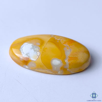 Maligano Jasper