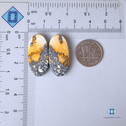 Natural Maligano Jasper Gemstone Oval Pairs 26*13*4mm from Indonesia available for sale