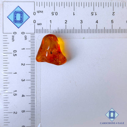 Cabujones de ámbar sintético de 18 x 19 x 11 mm disponibles para la venta.