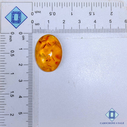 Cabujones ovalados de ámbar sintético de 23 x 17 x 7 mm disponibles para la venta.